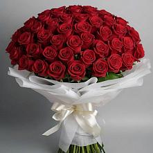 Букет 101 Красная роза Блэк Мэджик #REPLACE_PRED# Уруссу