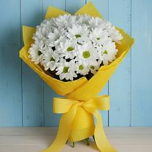 Букет цветов из:  Хризантемы #REPLACE_PRED# Уруссу