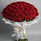 Букет 101 Красная роза Блэк Мэджик в Уруссу