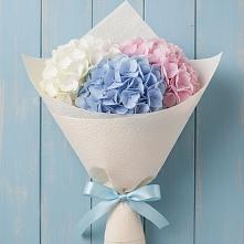 Букет цветов из:  Гортензия в Уруссу