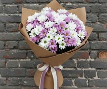 Букет цветов из:  Хризантемы #REPLACE_PRED# Уруссу