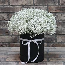 Цветочная композиция из Гипсофила в шляпной коробке в Уруссу