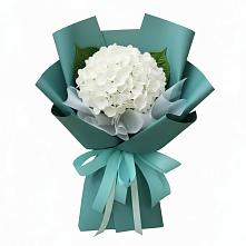 Букет цветов из:  Гортензия в Уруссу